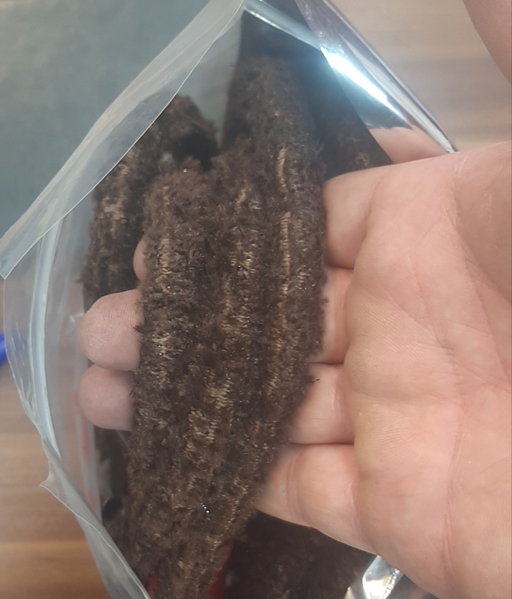 کش بدنسازی، مدرن (MODERN)، کشتی و سایر ورزشها، مقاوم